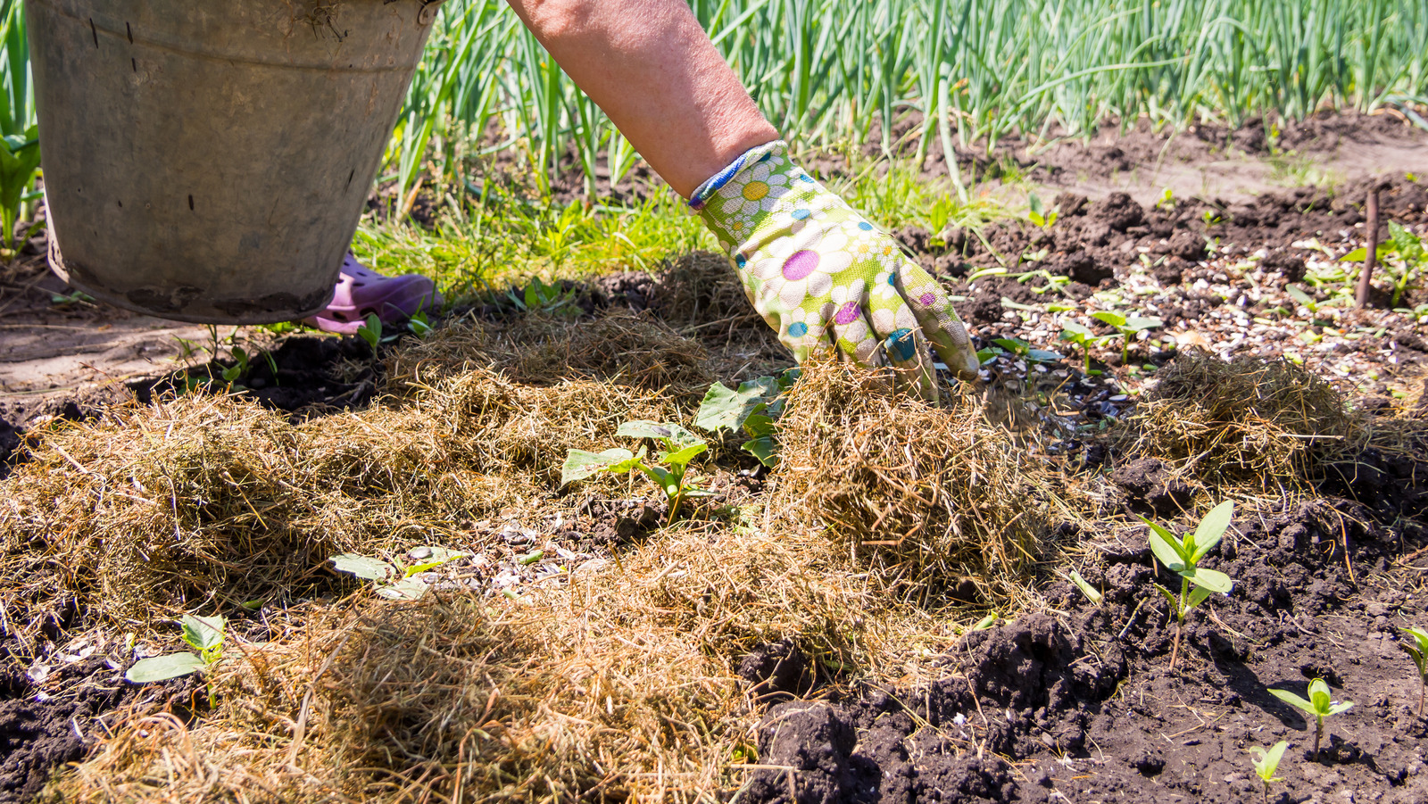 How To Best Mulch Your Garden This Fall