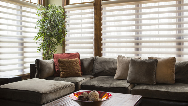 The sun filters through thick wooden blinds into a living room with lots of windows.