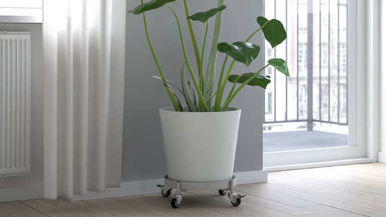 White flower pot sitting in the OLIVBLAD silver plant stand with wheels