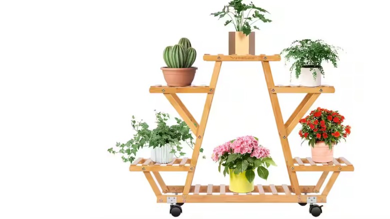 Six-tiered Vivosun stand from Home Depot on white background