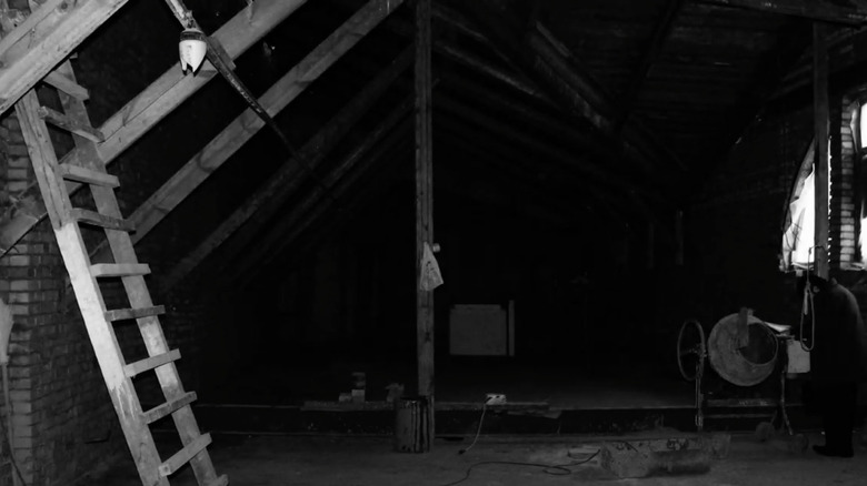 attic with ladder