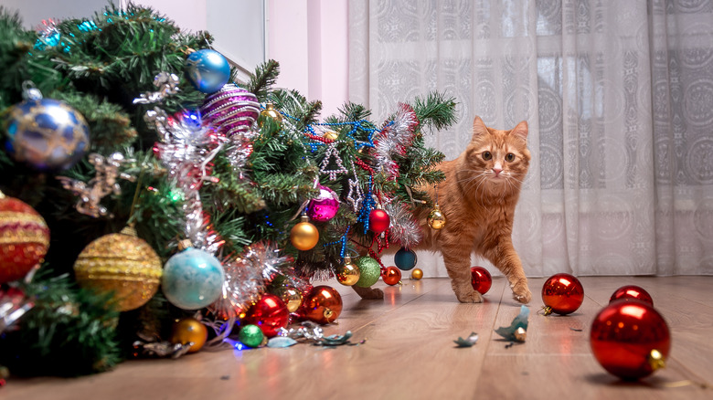 A fluffy orange cat peeks from behind a toppled Christmas tree with shattered ornaments on the floor