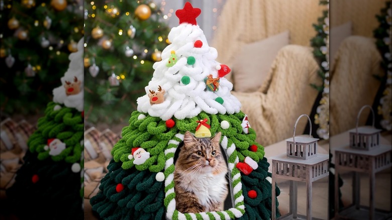 An angry brown and white cat sits inside of a felt Christmas tree bed