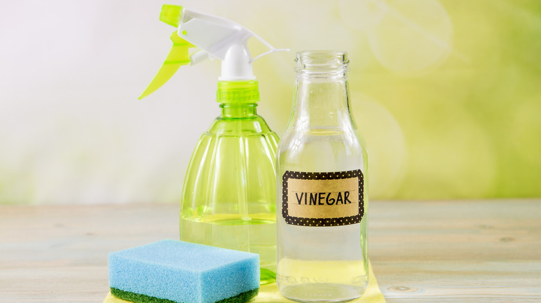 vinegar and spray bottle