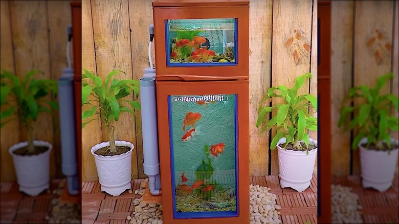 Repurposed at-home aquarium