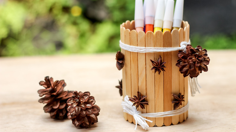 popsicle stick and anise pen holder