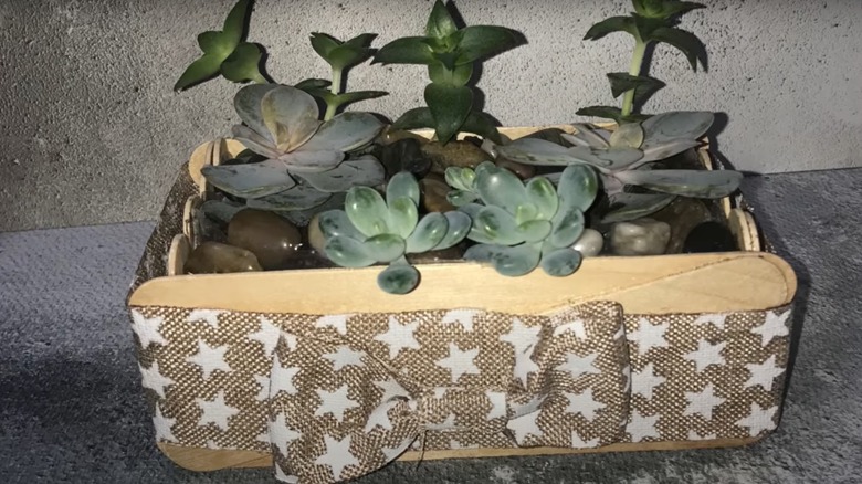 popsicle stick succulent planter