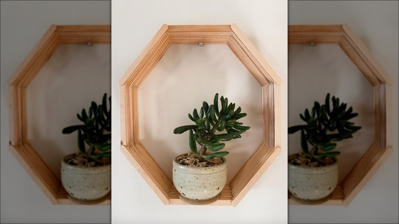 plant on popsicle stick shelf