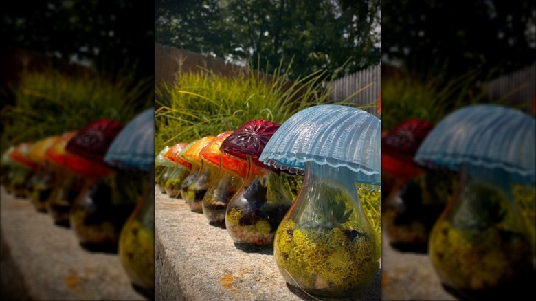 Glass garden mushrooms