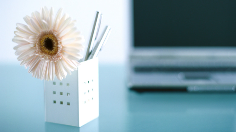 flower sitting in a pen case on a desk