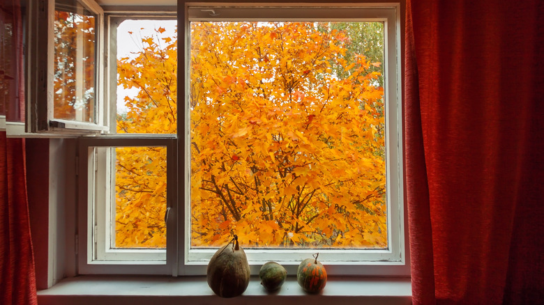 red curtains around window