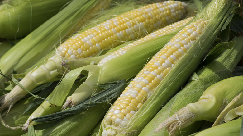 fresh corn