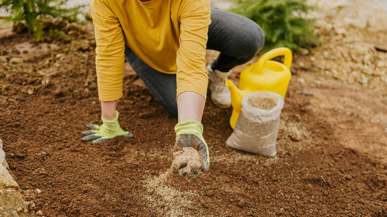 woman planting seeds