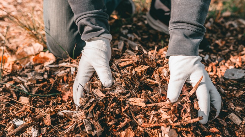 gloved hands scooping mulch