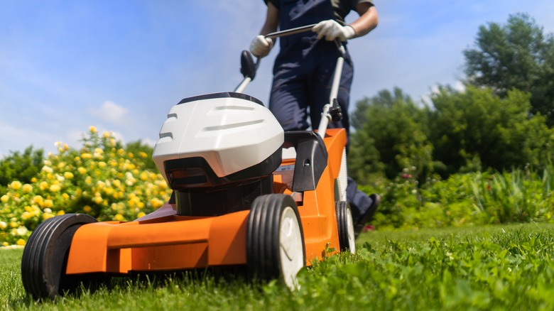 traditional mower on lawn