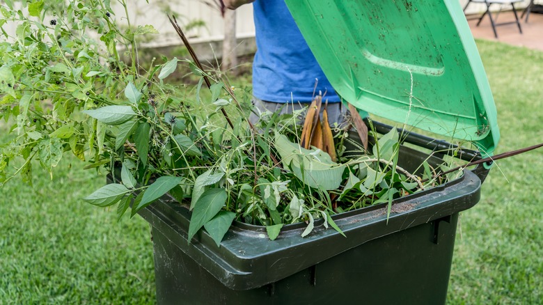 summer plants in trash can