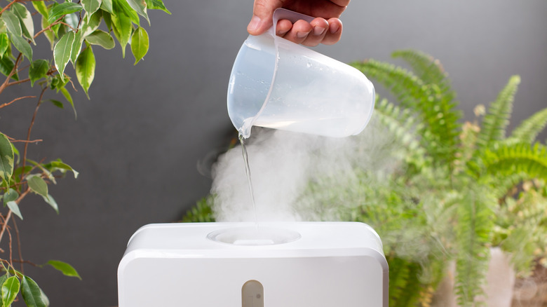 Man filling humidifier water reservoir