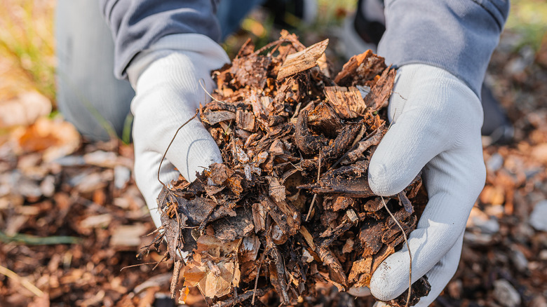 holding a pile of leaves 