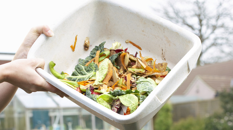 food compost bin