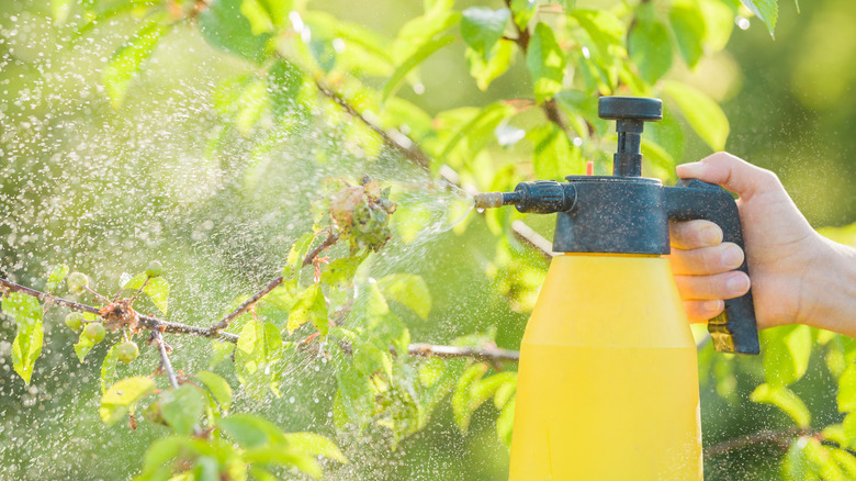 yellow spray bottle 