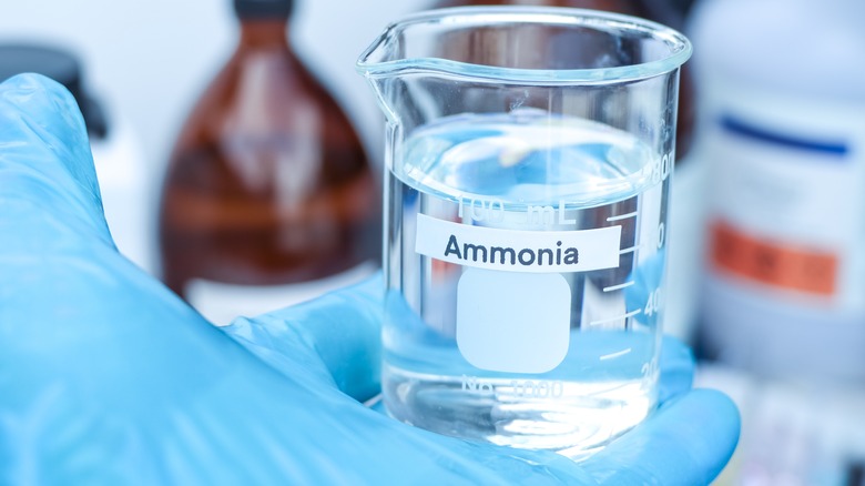 Ammonia in a beaker