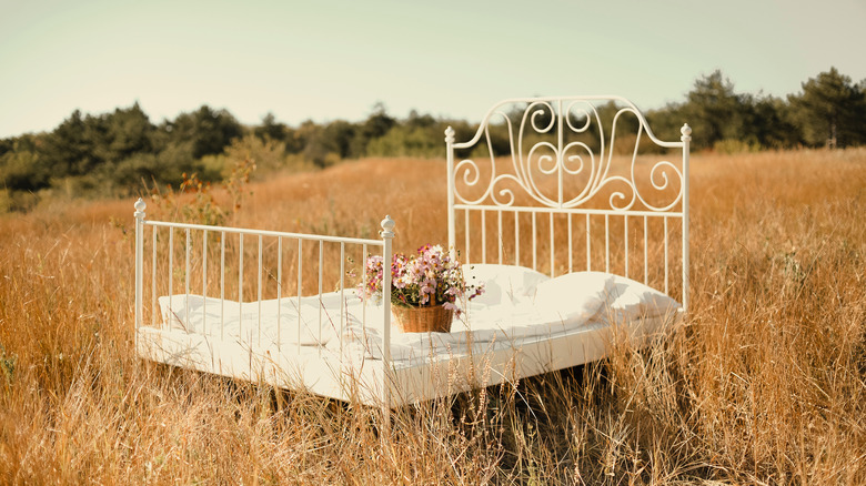 iron bed in field