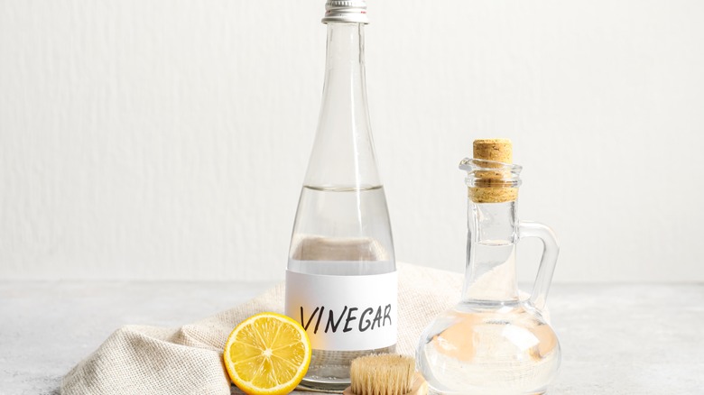 Bottles of white vinegar 