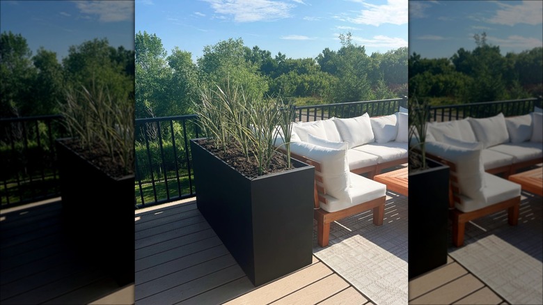 filing cabinet planter