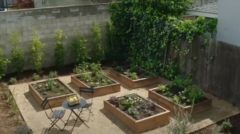 backyard raised bed garden