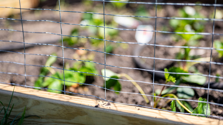 mesh fence in garden