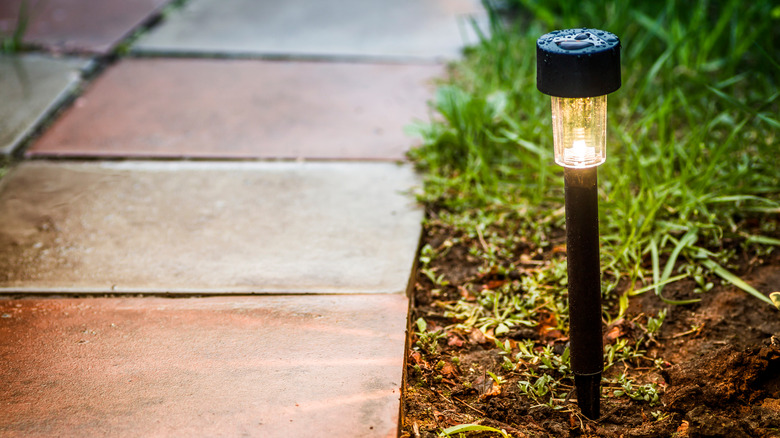 solar light in garden