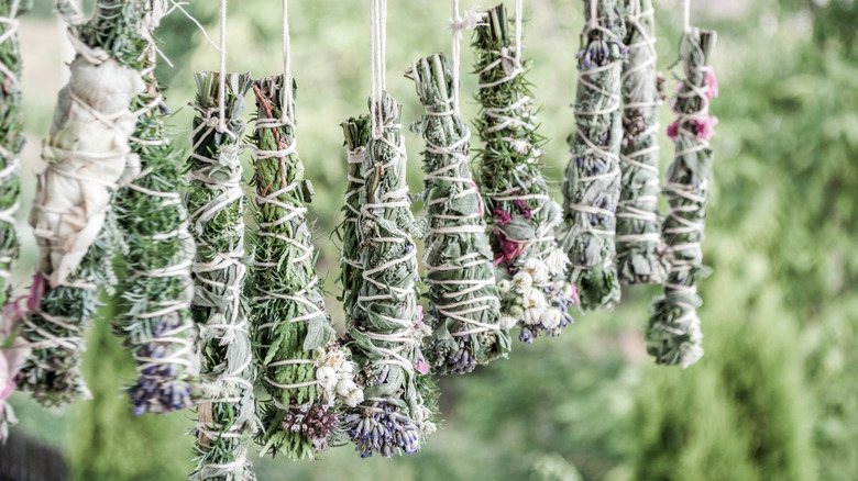 bundled herbs drying