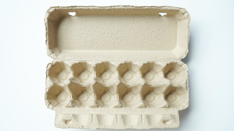 cardboard egg carton