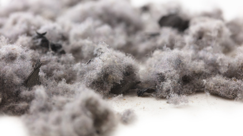 dryer lint