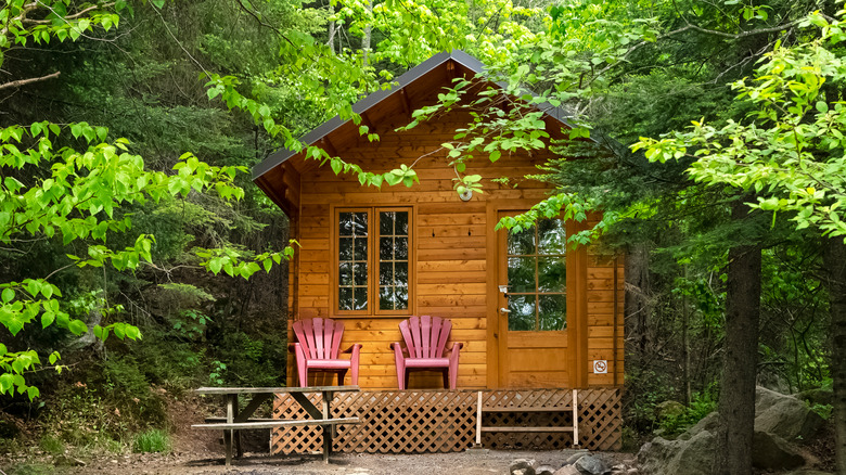 Tiny cottage in the woods