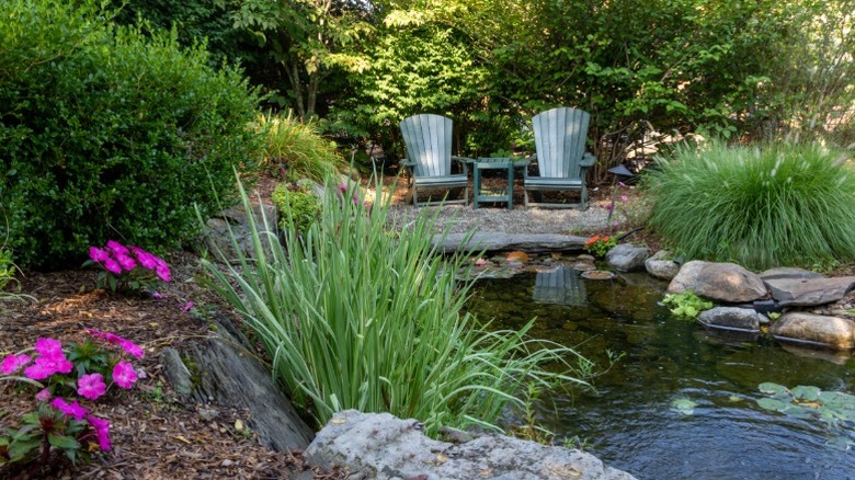 Two Adirondack chairs situated in a quiet spot near a manmade pond.