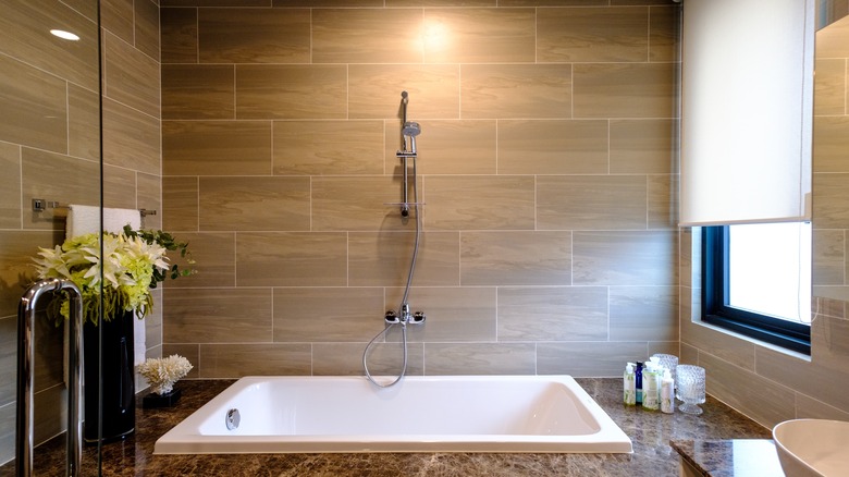 10 Ideas To Amp Up Your Combined Shower And Bathtub