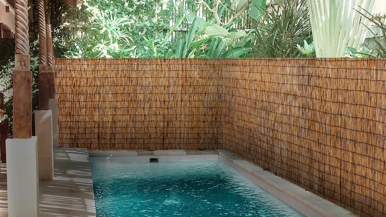 Tan reed fence panels around small pool