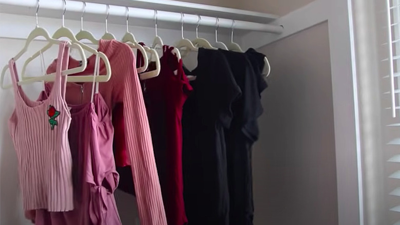 Organized tops hanging in closet