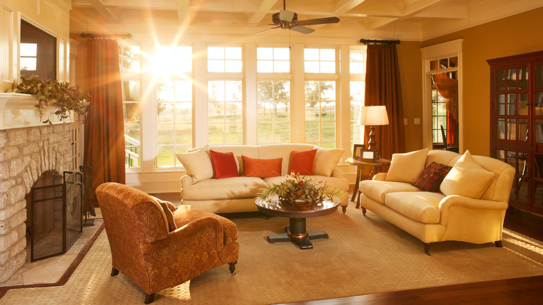 Light-filled room with cream walls and gold chairs.