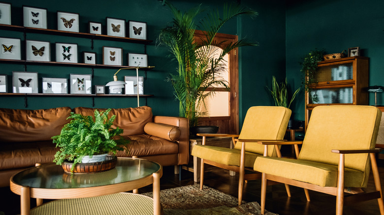 Green walls with yellow chairs.