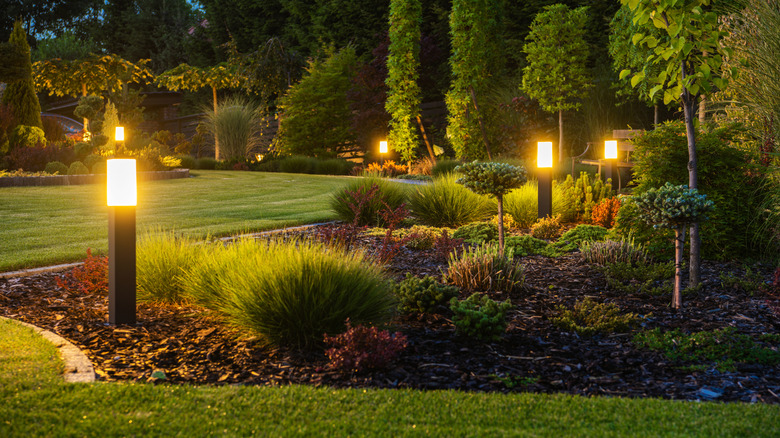Yard with landscape lighting around small shrubs and trees
