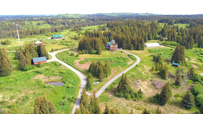 View of multiple Alaskan homes