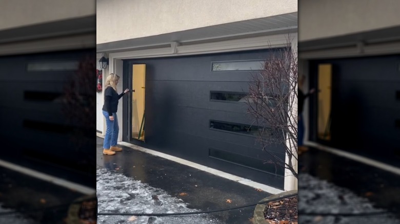 door built into garage door