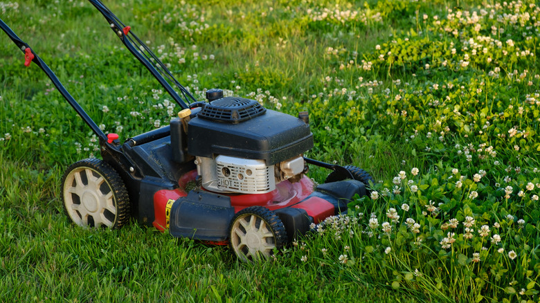 A lawn mower cutting the grass