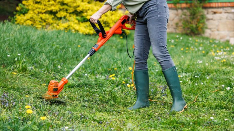 Person using a string trimmer on lawn