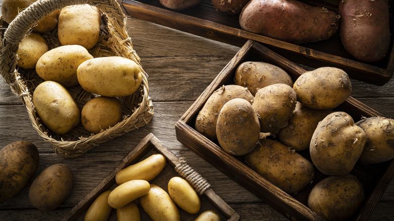 Different types of potatoes