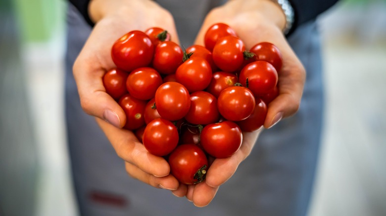 Hands holding cherry tomatoes