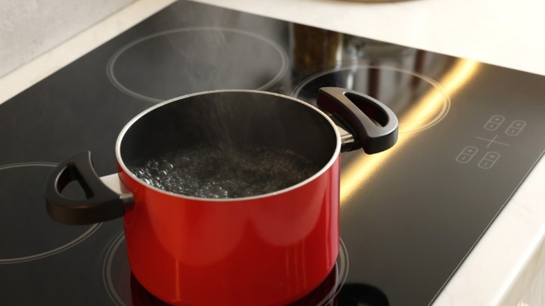 Red pot of water boiling on flat top electric cooktop