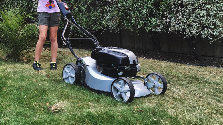 Person mowing lawn